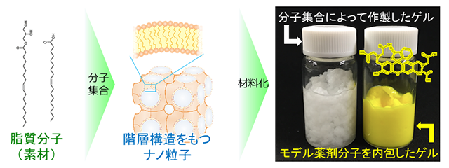 ナノ粒子を利用した機能性コンポジット薄膜作製プロセスの検討