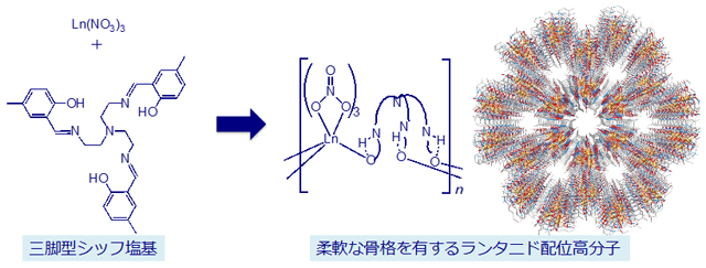 柔軟な骨格を有するランタニド配位高分子